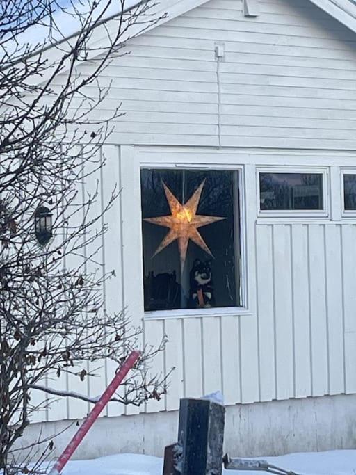Ivar And Sofies House Tromsø